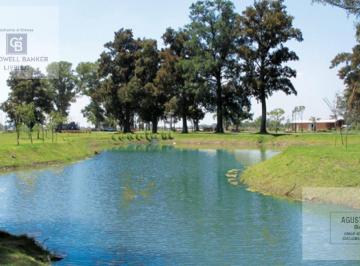 Terreno · 800m² · Lote en Venta Laguna Barrio San Lucas Oportunidad