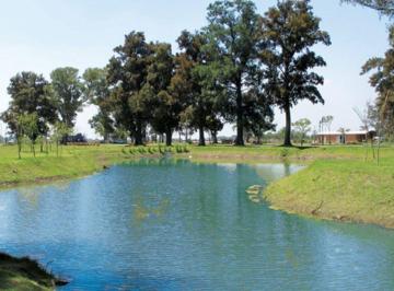 Terreno · 800m² · Venta Lote 800 m San Lucas Canning Financia
