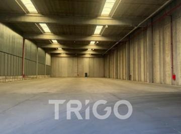 Depósito · 600m² · 1 Ambiente · 5 Cocheras · Alquiler de Depósito Premium 400 m² Autopista Acceso Oeste Moreno