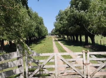 Campo · Venta de Campo Ganadero. Ranchos