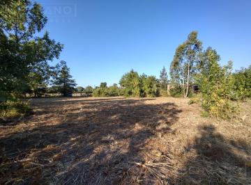 Terreno · 4000m² · Venta Lote Terreno Colectora Sur Ruta 8 Panamericana Ramal Pilar Km 77 Exaltacion de La Cruz 4.000 m