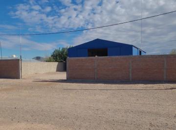 Bodega-Galpón · 450m² · 2 Ambientes · Galpón en Centenario