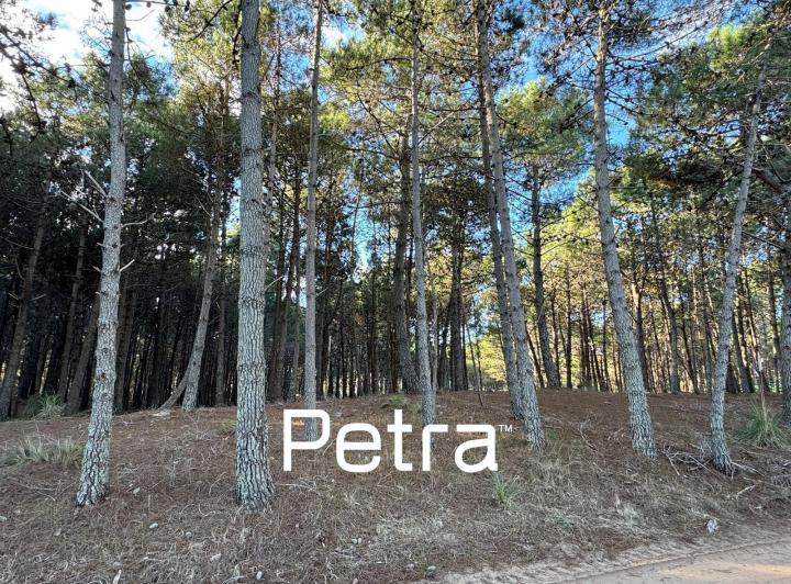 Terreno · 1120m²