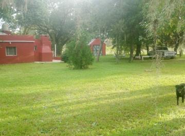 Campo , Gualeguay · Hermosa Chacra en Camino Al Balneario Paso de Alonso – Naturaleza y Tranquilidad