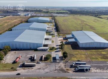Bodega-Galpón · 6000m² · Alquiler - Nave Industrial 6.000 m² - Centro Logístico Zarate