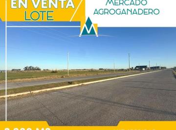 Terreno · 2000m² · Lote en Venta Mercado Agro - Ganadero