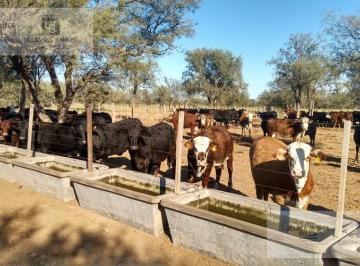 Campo · 43000000ha · Venta Campo en Lucio V Mansilla
