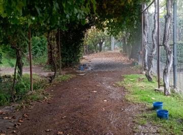 Casa · 150m² · 6 Ambientes · 3 Cocheras · Casa en Venta Guaymallen 3 Dorm. Gran Parque