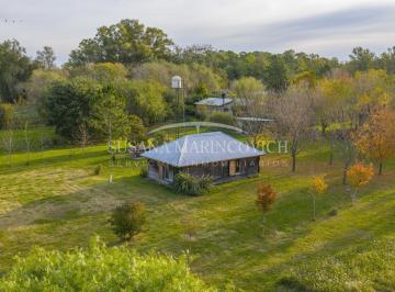 Terreno · 8400m² · Terreno de Azcuenaga con Cabaña y Taller