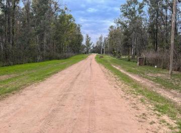 Terreno · 10000m² · Venta Lote Estrella Federal Ramallo