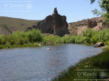 Campo · Campos y Chacras en Venta en La Patagonia Argentina