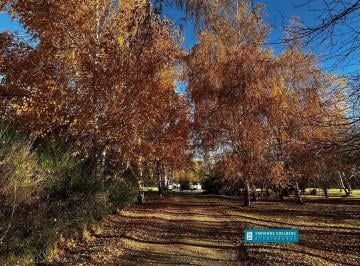Quinta vacacional · 200m² · 7 Ambientes · 2 Hectáreas con Casa, Arroyo y Todos Los Servicios | San Martín de Los Andes