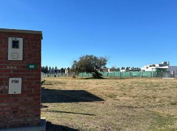 Terreno · 701m² · Venta Excelente Terreno en San Simon - Posibilidad de Financiación Directa