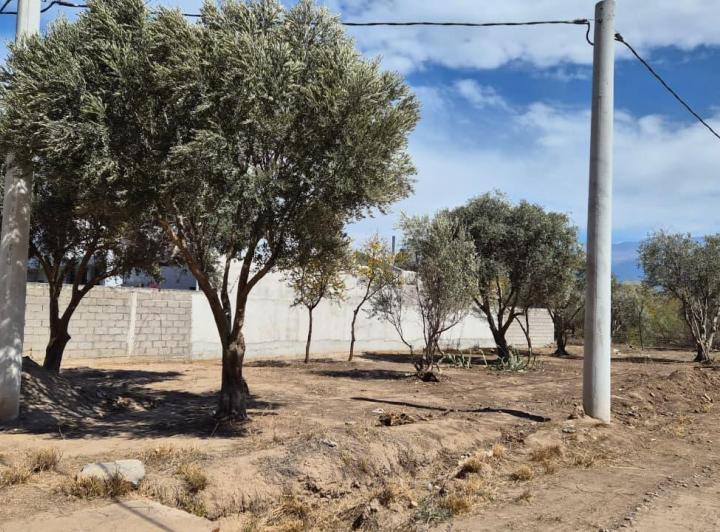 Terreno · 360m²