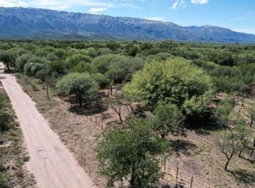 Terreno , Villa Merlo · Terreno en Venta – Merlo, San Luis. Extraordinaria Oportunidad