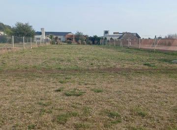 Terreno · 875m² · Terreno Sobre Ruta 90 en Elortondo