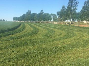 Campo · 660ha · Campo Ruta 9 - 53,5 Ha Productivo Alto Potencial
