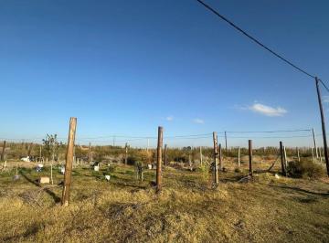 Terreno · 300m² · Lote en Amedea Financiado