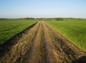Campo · 10000ha · 1 - Tula Suarez de Cutinella - San Pedro Lote 13