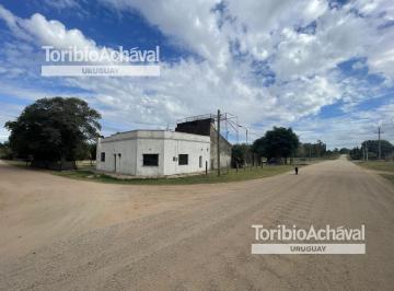 Campo · 100m² · 3 Dormitorios · Tula Suarez - El Caño (6.805 M²)