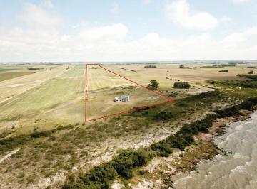 Campo · 380ha · 5 Dormitorios · Campo Agrícola Casa - Rio de La Plata