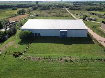 Depósito · 1000m² · Depósito / Planta Industrial Logístico Colonia