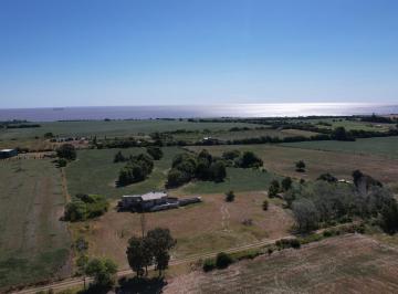 Campo · 300ha · 4 Ambientes · 1 Cochera · Chacra con Casa (A Reciclar) de 5 Has a 10 Minutos de Colonia del Sacramemnto
