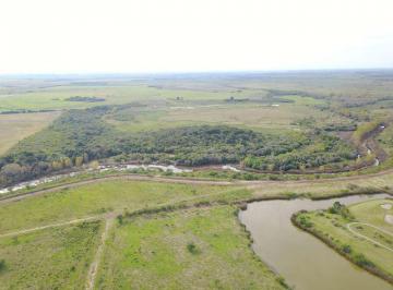 Campo · 840000ha · 1 - Colonia - 84 Ha Arroyo Víboras - Carmelo