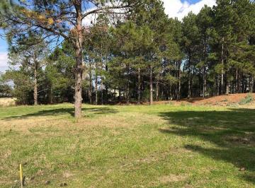 Terreno · 2816m² · El Faro Lote 242