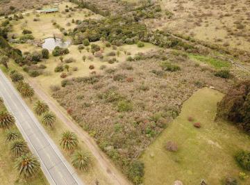 Terreno · 10000m² · Hermoso y Amplio Terreno Sobre Ruta 1