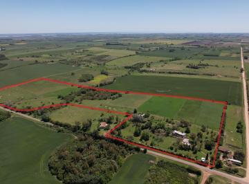 Campo · 240000ha · 6 Dormitorios · Campo 24 Ha con Casa Principal y Mejoras | Ruta 97 | Zona Nueva Palmira