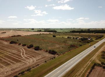 Campo · 10000ha · 1 Ambiente · Colonia - 1 Ha Ruta 1 / Radial Santa Ana