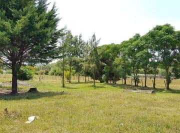 Terreno · 44740m² · Cno Manuel Flores 8712