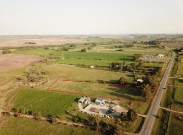 Campo · 10000ha · 1 - Colonia - Ruta 21 Km 183 - 1 Ha