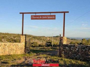 Campo · 50000ha · 1 - Maldonado - 5 Has - Chacras de Juan Ignacio Fracción a