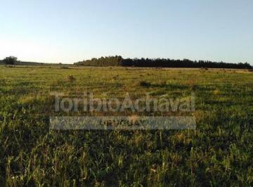 Campo · 55000ha · 1 - Playa Matamora - 5.5 Ha