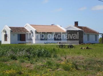 Campo · 10000ha · 5 Dormitorios · 2 - Laguna de Los Patos (Aeropuerto)