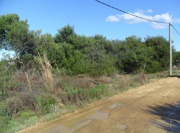 Terreno · 417m² · Terreno en Venta - 417 m² - Punta Rubia