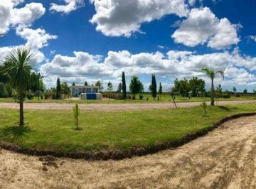 Terreno · 1000m² · Terreno en Venta - 1.000 m² - Campos de La Enriqueta, La Plata