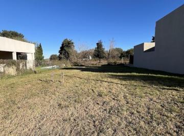 Terreno · 450m² · Lote en Villa Catalina