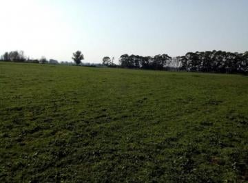 Campo · 2420000m² · Campo en Venta - 2.420.000 m² - Mechongué