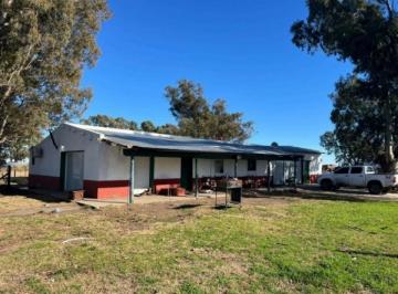 Campo · 10030000m² · Campo en Venta - m² - Tres Arroyos