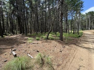 Terreno · 865m² · Terreno en Venta - 865 m² - Villa Robles, Pinamar