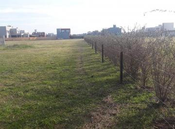 Terreno · 730m² · Terreno - Funes