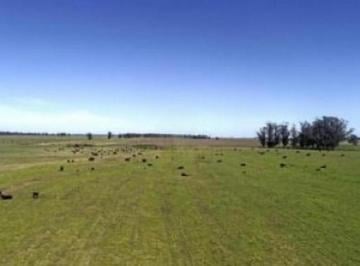 Campo · 4150000m² · Campo en Venta - 4.150.000 m² - Mar Chiquita