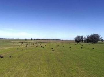 Campo · 4150000m² · Campo en Venta - 4.150.000 m² - Mar Chiquita