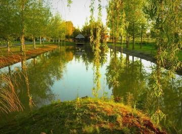 Terreno · 462m² · Venta Terreno de 462 m² en Pinares del Sur. Permutas.