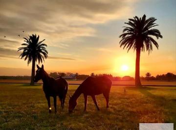 Terreno · 3700m² · Terreno en Venta - 3800 m² - Cañuelas