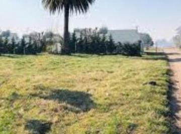 Terreno · 2442m² · Terreno en Venta - 2.442 m² - Saladillo