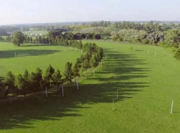 Terreno · 5866m² · Terreno en Venta - 5.866 m² - Estancia Las Malvinas, Coronel Brandsen